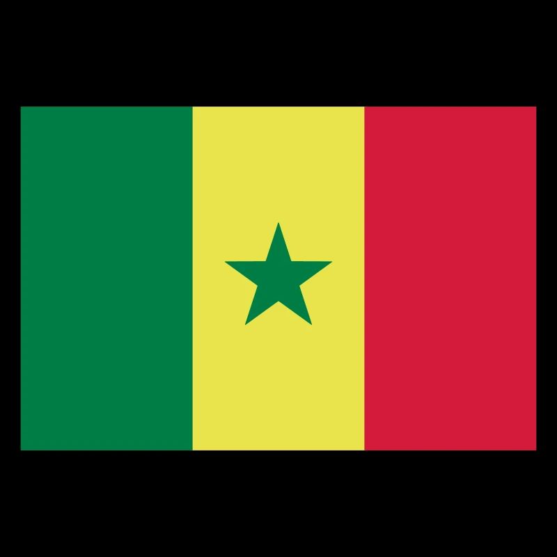 Drapeau Sénégal / Flagge von Senegal