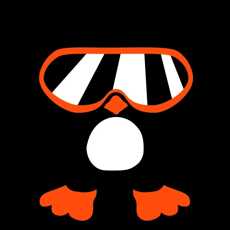 Pinguin Vogel Coole Schibrille DJ Spaß Vögelchen