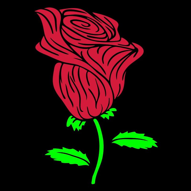 Pretty Beautiful Rose Blossom Leaf Roses Romantic