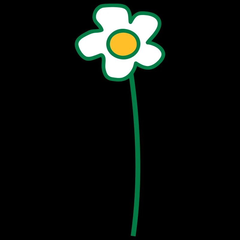 Weiße Margeriten Blume Frühling Sommer Blümchen