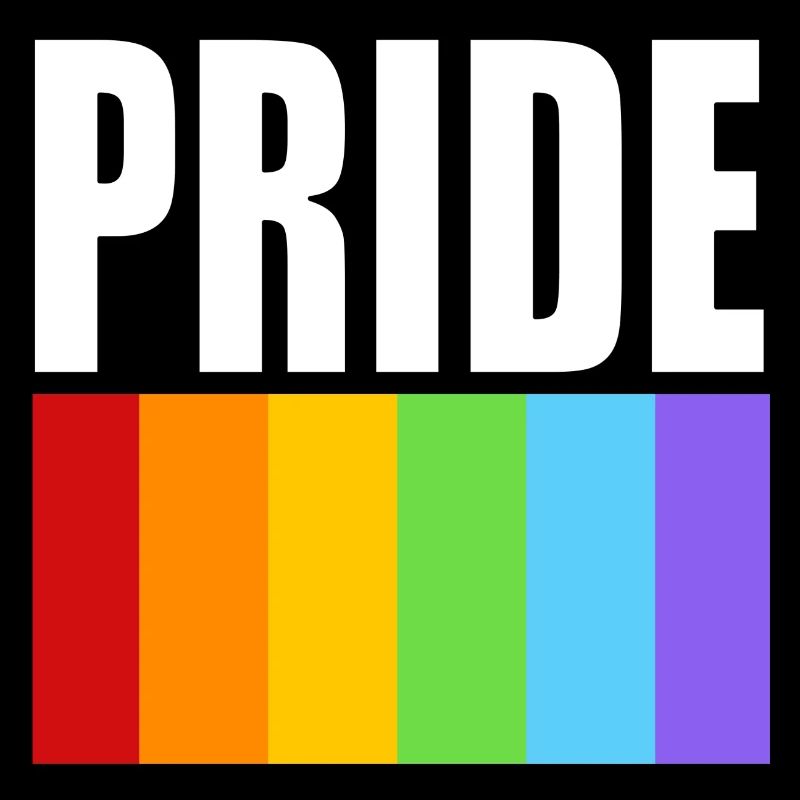 Pride rainbow flag clean design with bold text