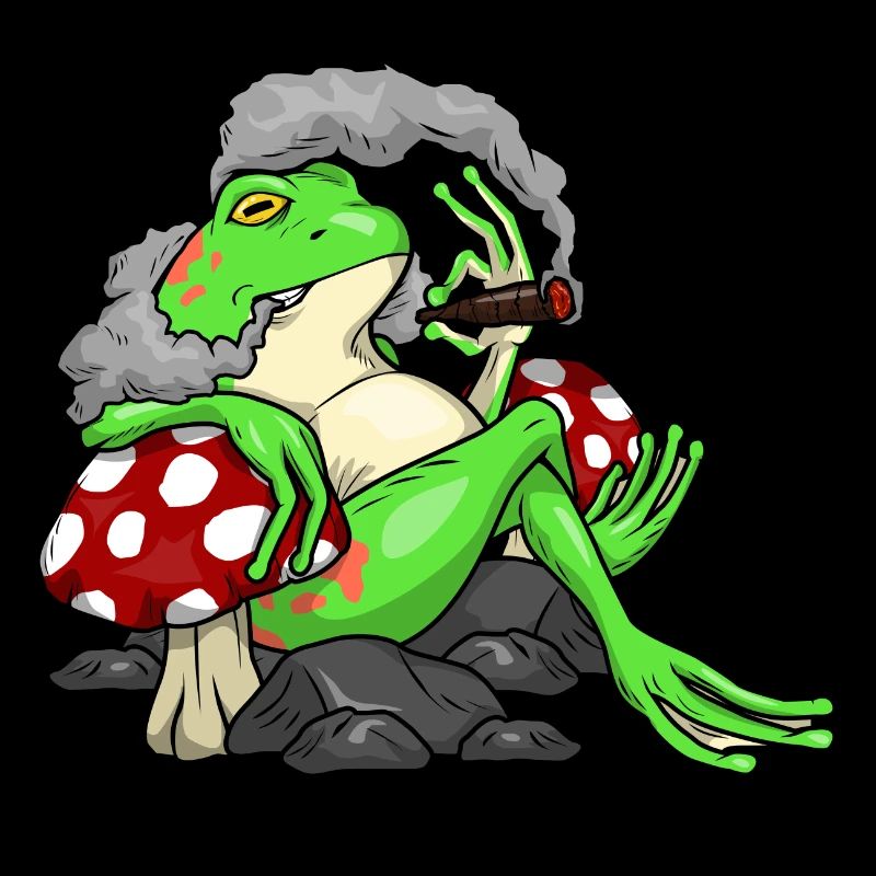 Frosch mit Pilze als Raucher mit Zigarre