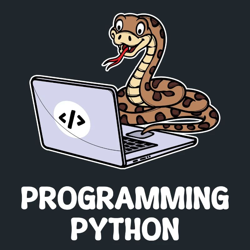 Programmeur de scripts, Développeur de débogage informatique