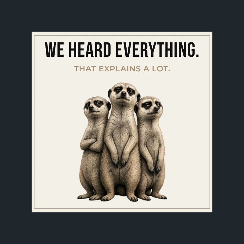 We Heard Everything Meerkat Trio