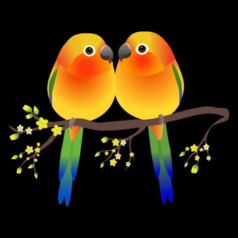 Deux jolies perruches de soleil