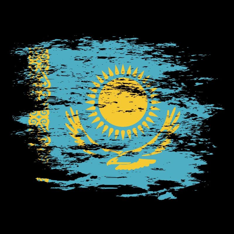 Drapeau du Kazakhstan utilisé