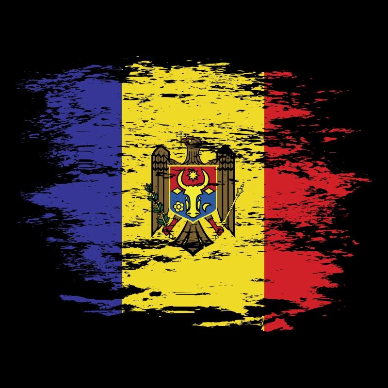 Moldova flag used