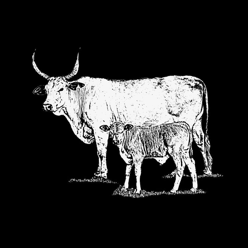 Kuh mit Kalb
