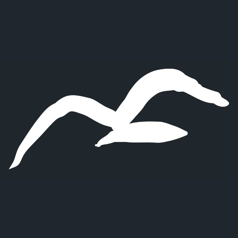 Möwe