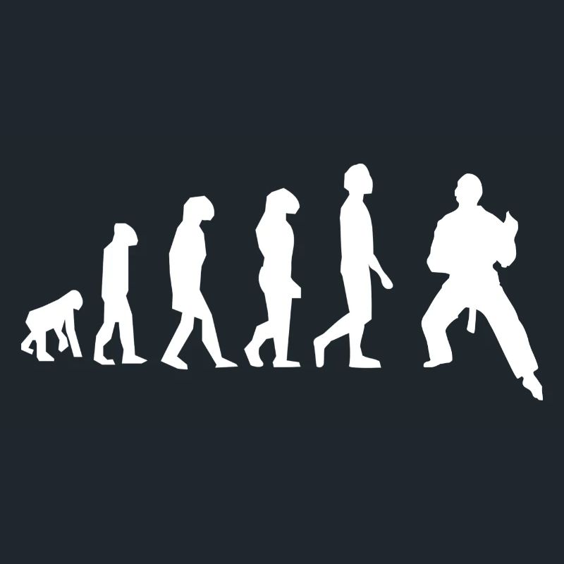 Martial arts evolution