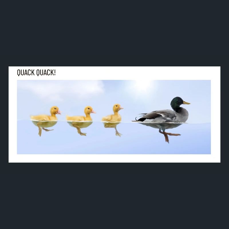 Charlatan de canard
