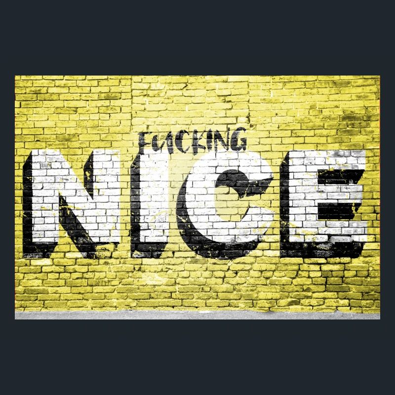 Fucking nice saying lettering Graffiti on Brick