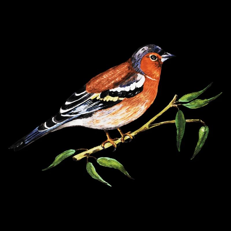 Bunter Vogel