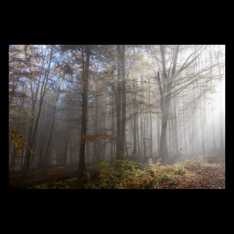 Autumn mood
