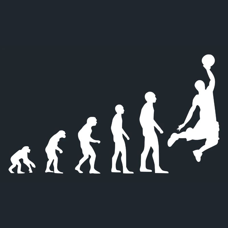 Evolution du basket