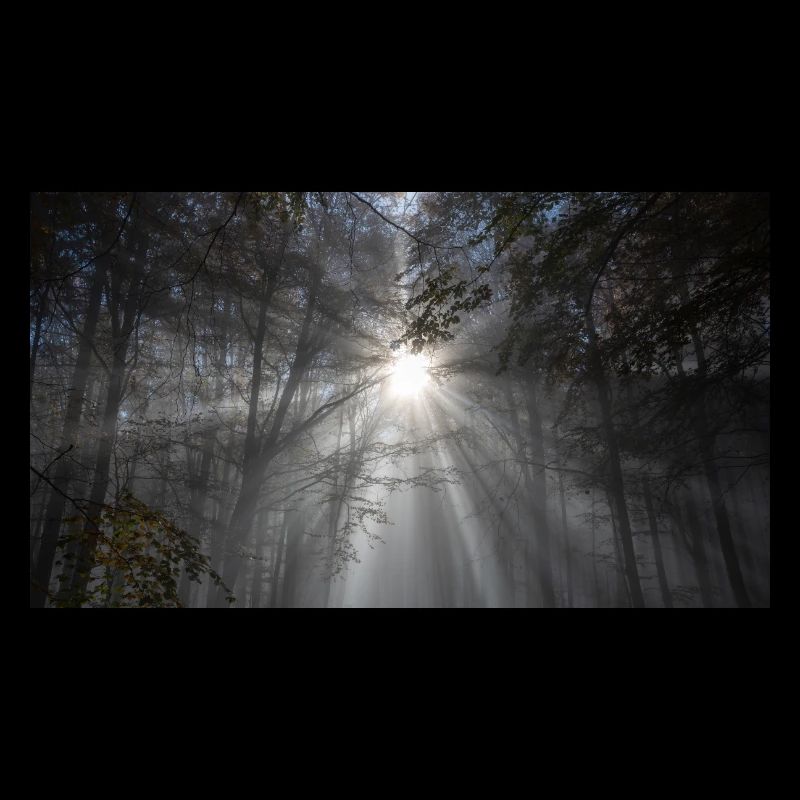 Jahreszeit der Stille