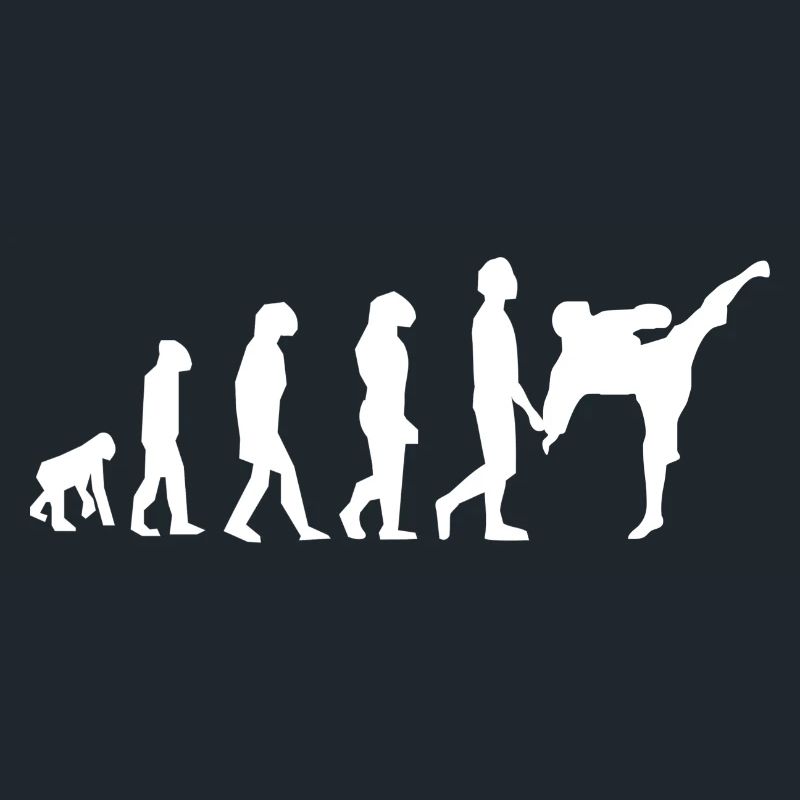 Art martiaux évolution
