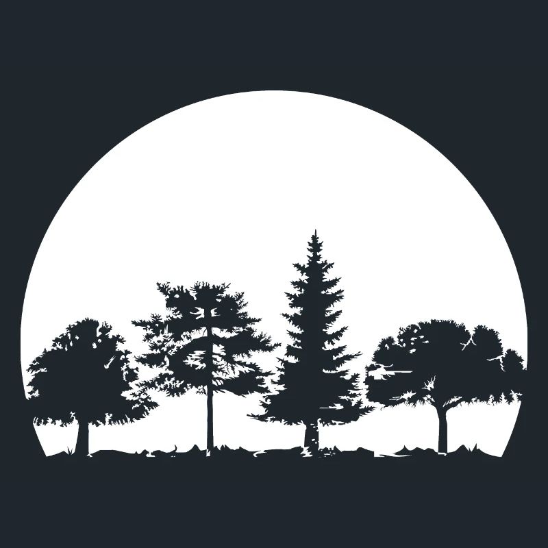 Forest, Moon, Mixed Forest, Nature, Oak, Beech, Birch, Spruce
