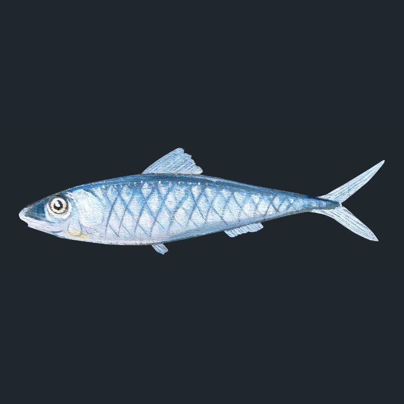 Painted fish