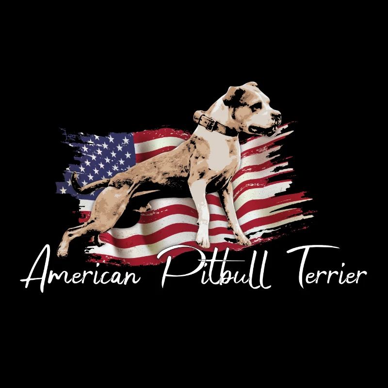 American Pitbull Terrier