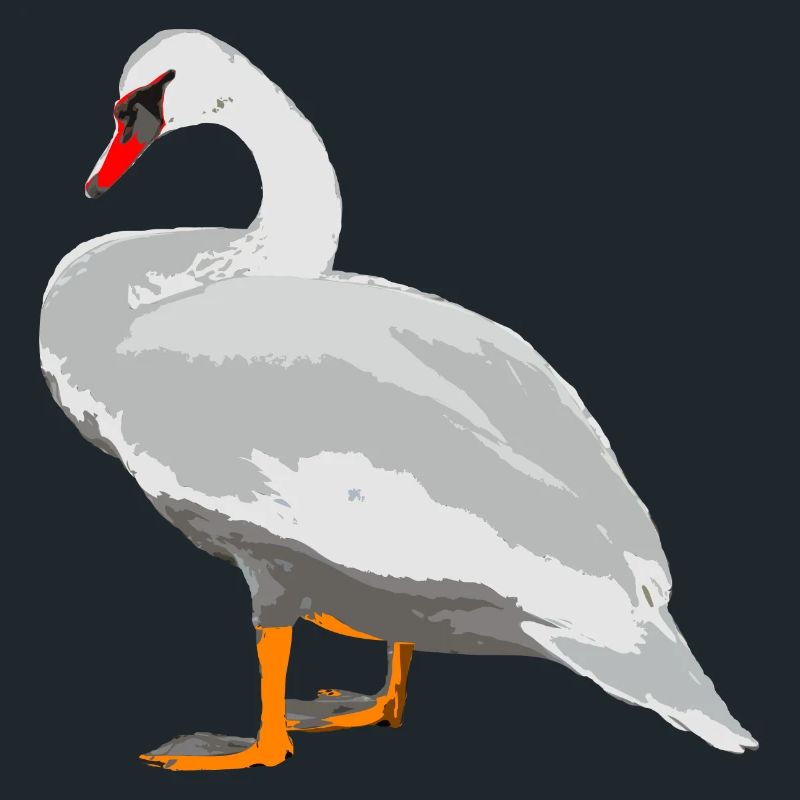 swan