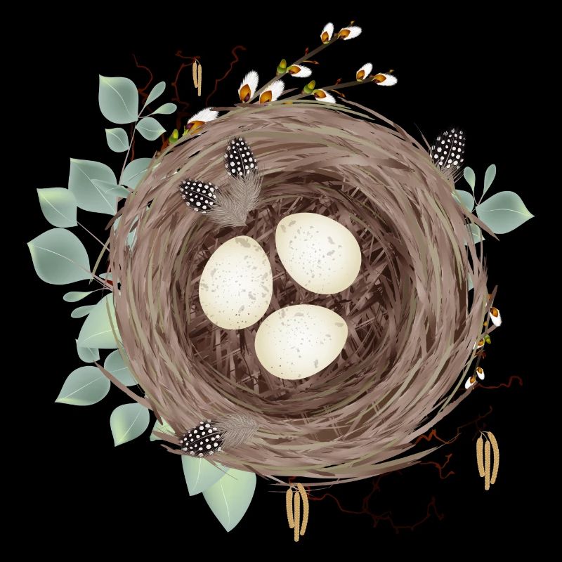 Bird's nest or Easter nest with three eggs and feathers