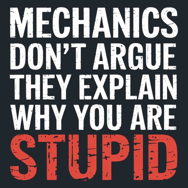 Mechanics Explain Why You Are Stupid 5