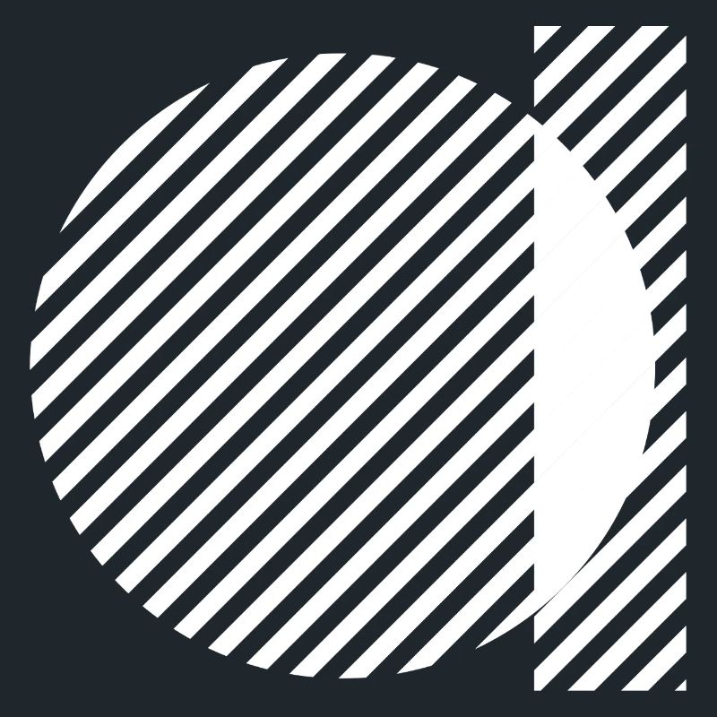 Geometric Stripe Circles Monochrome Pattern