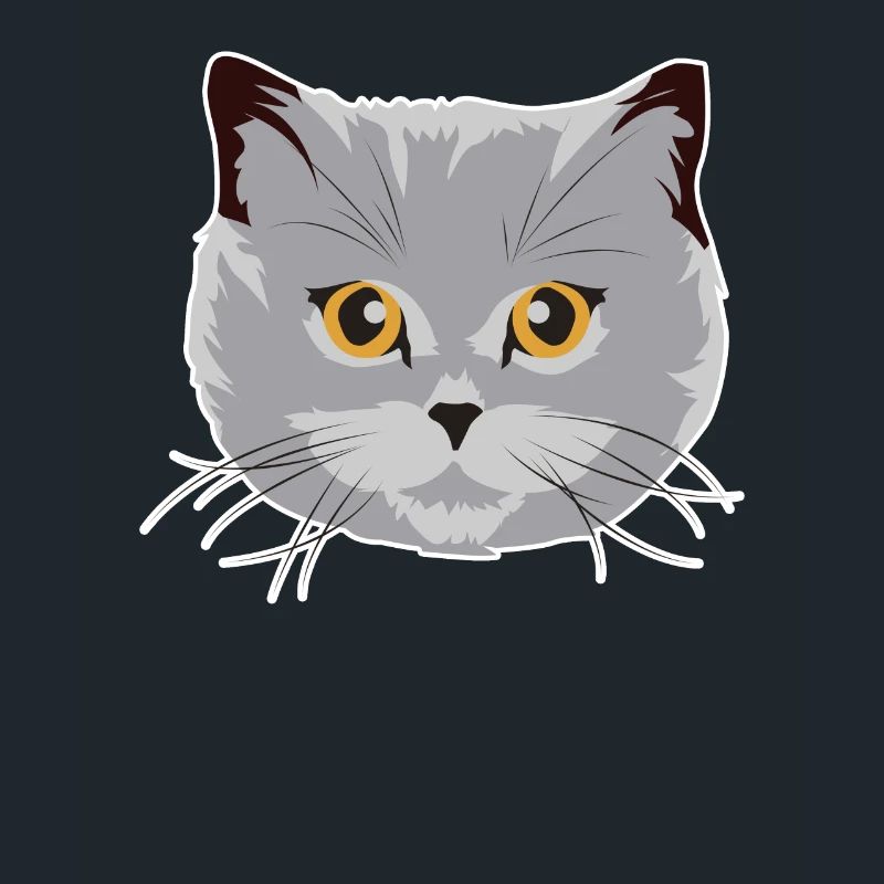 Wunderschöne Britisch Kurzhaar Katze BKH Geschenk