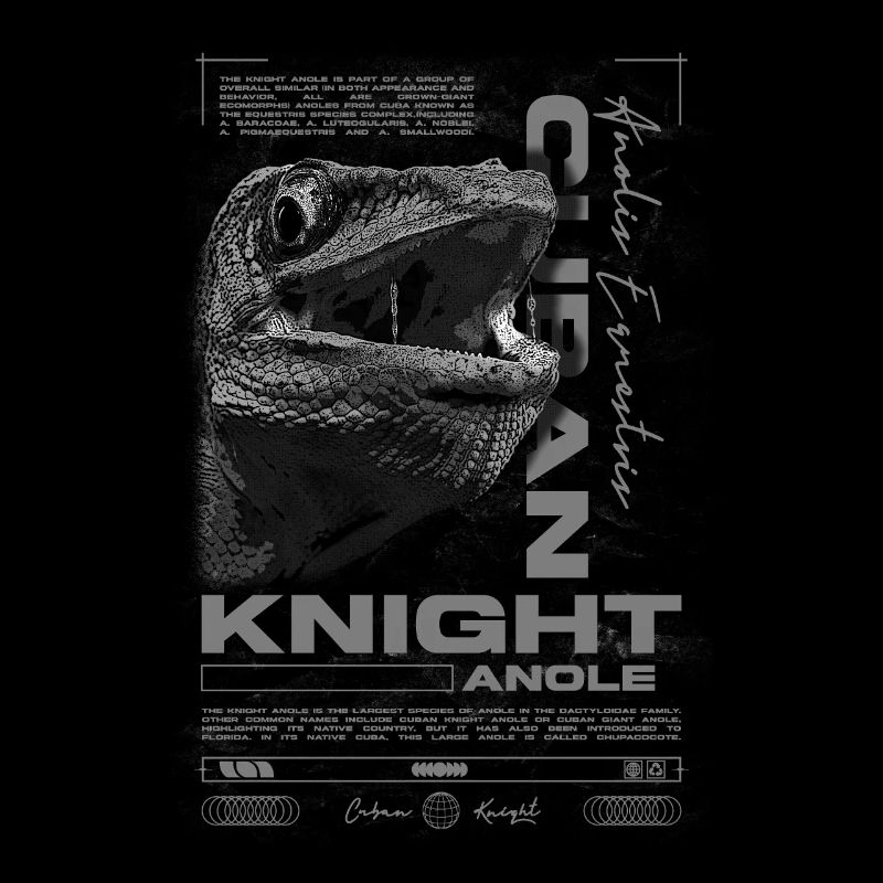 Kubanischer Ritter Anole Reptilienhalter Eidechse