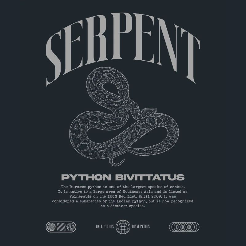 Burmese Python Modern Reptile Keeper Streetwear