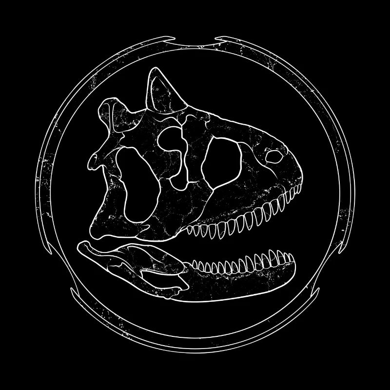 Crâne fossile de Carnotaurus