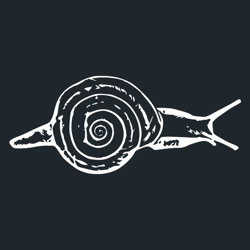 Snail, vineyard snail white