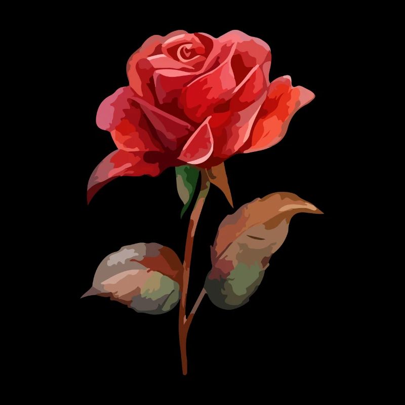 Rose Fleur Amour Saint Valentin
