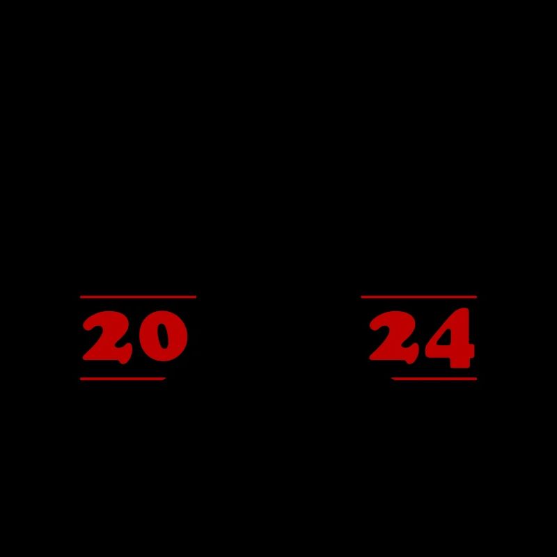 Enterrement de vie de garçon 2024