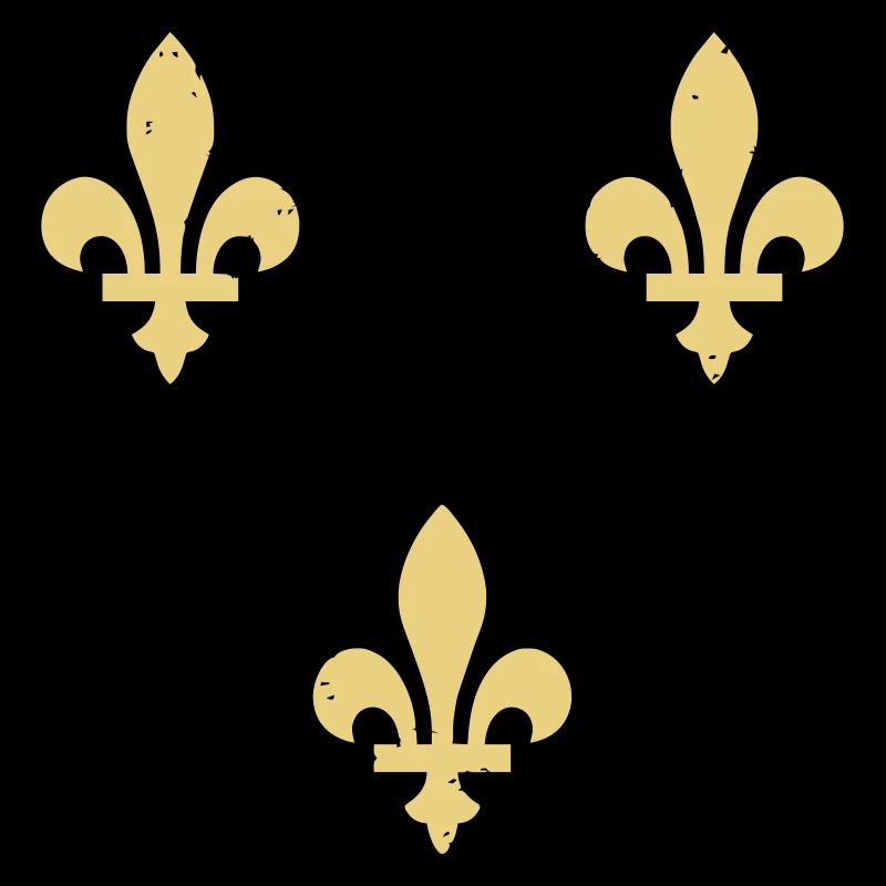 Lys / Ornement de fleurs - VECTOR