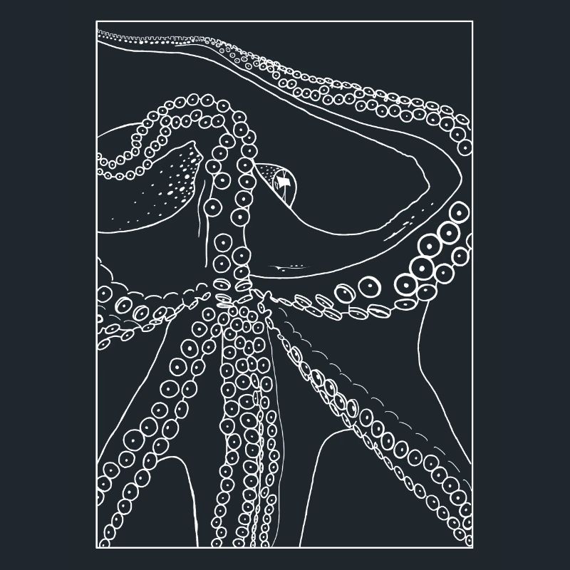 Octopus from below with frame