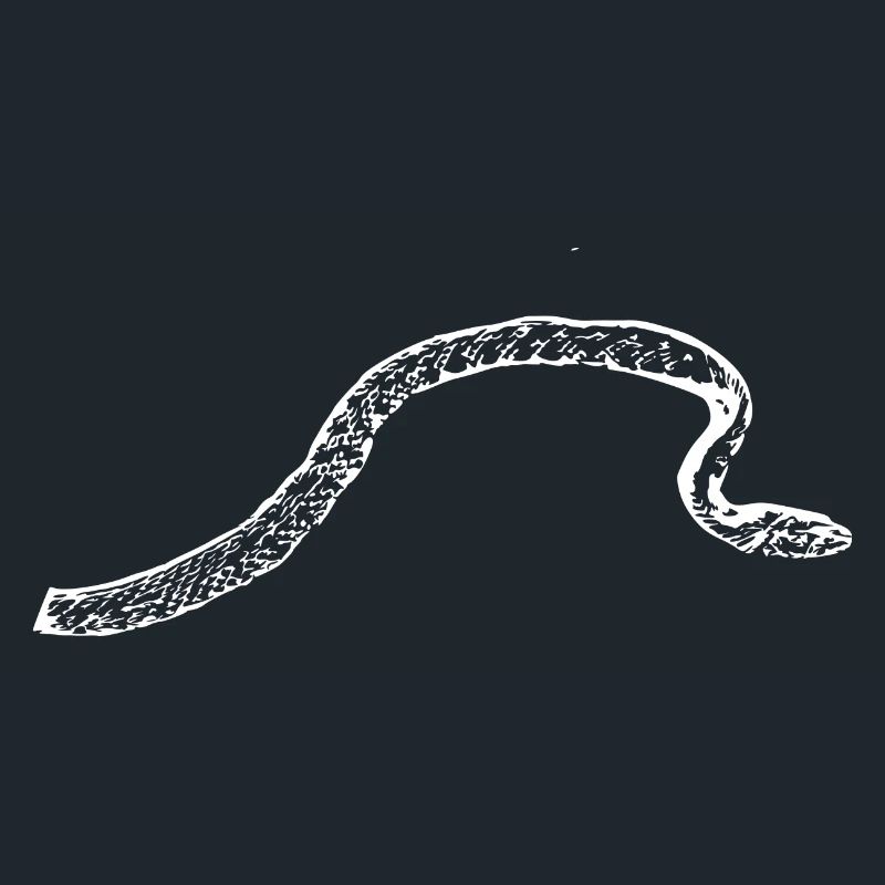 Snake Snakes