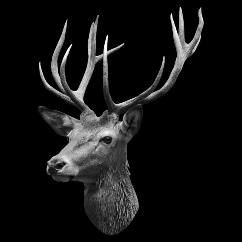 Deer head