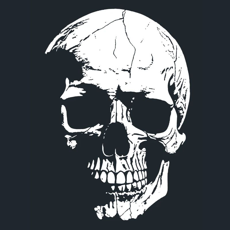 Skull High-Contrast Graphics