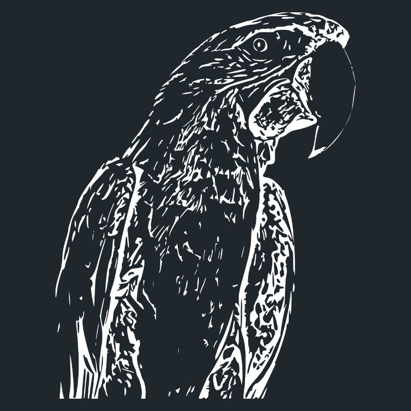 Perroquets Oiseau Blanc