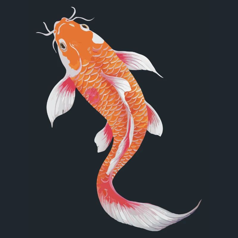 Koi Fish Carp Japan China Fish