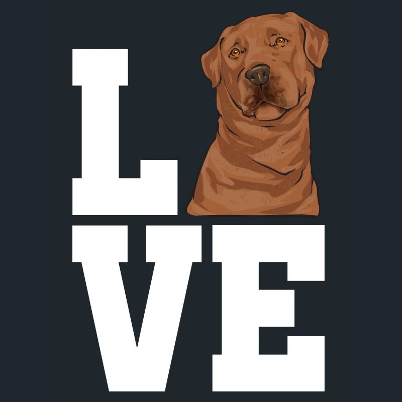 Foxred Labrador Fox Red Labrador Retriever