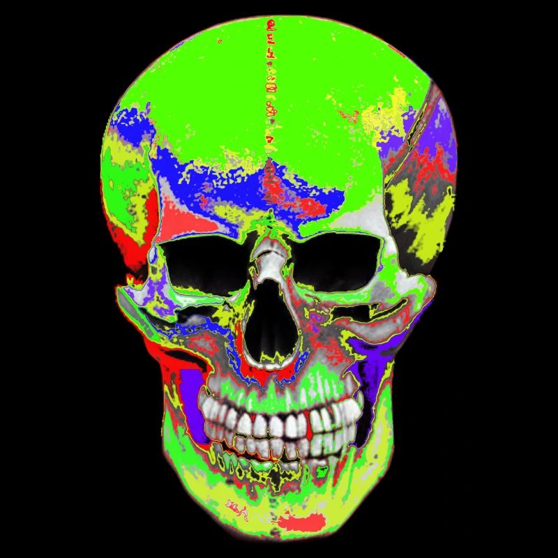 colorful Scull