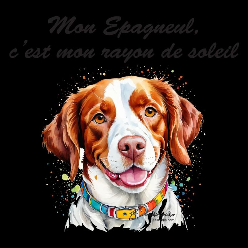 Epagneul rayon de soleil