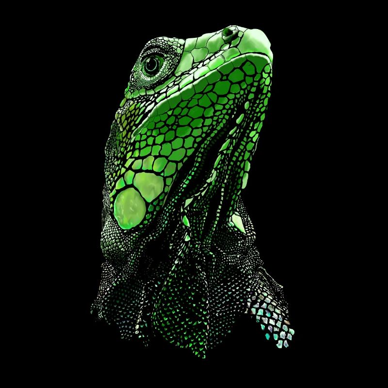 IGUANE VERT - ANIMAL DE COMPAGNIE IGUANE VERT COMMUN