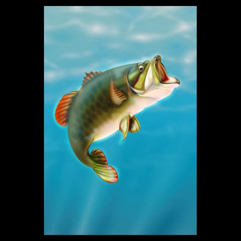 Koi Carp