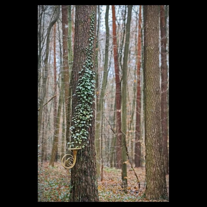 Horn as a cornucopia with ivy leaves in the forest.