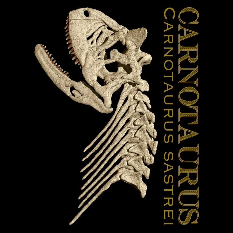 Carnotaurus skull bone