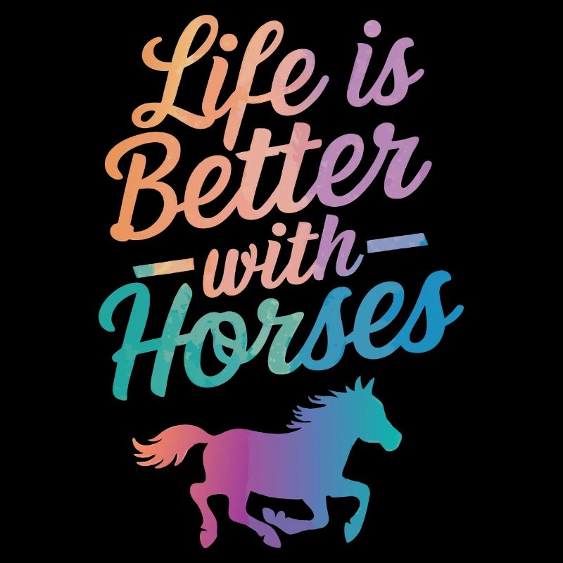 Cheval Équitation Équitation Saut d’obstacles